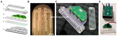 Versatile micro-electrode array to monitor human iPSC derived 3D neural tissues at air-liquid interface